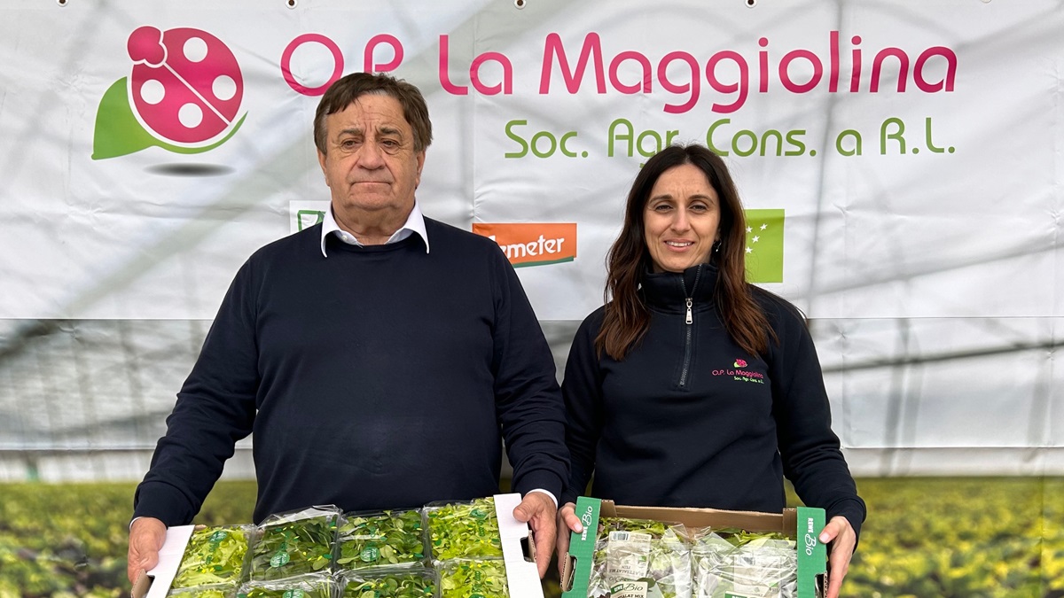 TOMRA Food technology guarantees safety and quality of organically farmed packaged salads at Italian association of producers La Maggiolina’.jpg
